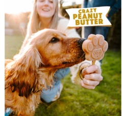 Smoofl Adult Μείγμα για Παγωτό Σκύλου Φυστικοβούτυρο 100gr & 10 Sticks -Gatoskilo Petshop Store smoofl adult migma gia pagoto skilou fistikovoutiro 100gr 10 sticks 4