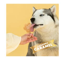 Smoofl Adult Μείγμα για Παγωτό Σκύλου Καραμέλα 100gr & 10 Sticks -Gatoskilo Petshop Store smoofl adult migma gia pagoto skilou karamela 100gr 10 sticks 3