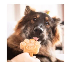 Smoofl Adult Μείγμα για Παγωτό Σκύλου Καραμέλα 100gr & 10 Sticks -Gatoskilo Petshop Store smoofl adult migma gia pagoto skilou karamela 100gr 10 sticks 4