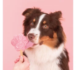 Smoofl Adult Μείγμα για Παγωτό Σκύλου Καρπούζι 100gr & 10 Sticks -Gatoskilo Petshop Store smoofl adult migma gia pagoto skilou karpouzi 100gr 10 sticks 3