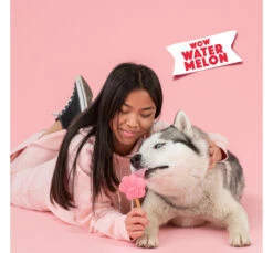 Smoofl Adult Μείγμα για Παγωτό Σκύλου Καρπούζι 100gr & 10 Sticks -Gatoskilo Petshop Store smoofl adult migma gia pagoto skilou karpouzi 100gr 10 sticks 5