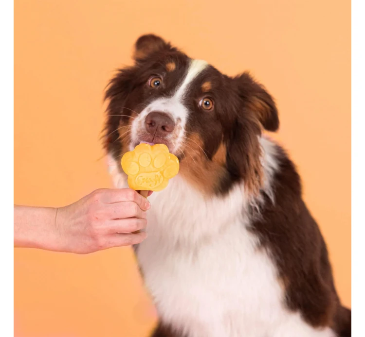 Smoofl Adult Μείγμα για Παγωτό Σκύλου Μάνγκο 100gr & 10 Sticks 7 Smoofl Adult Μείγμα για Παγωτό Σκύλου Μάνγκο 100gr & 10 Sticks - Image 5