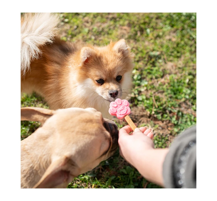 Smoofl Φόρμα Σιλικόνης ΧSmall 20x24.5x1.8cm 5 Smoofl Φόρμα Σιλικόνης ΧSmall 20x24.5x1.8cm - Image 3