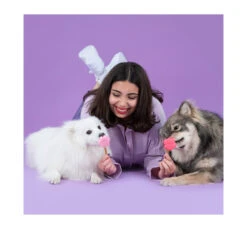 Smoofl Φόρμα Σιλικόνης ΧSmall 20x24.5x1.8cm 9 Smoofl Φόρμα Σιλικόνης ΧSmall 20x24.5x1.8cm -Gatoskilo Petshop Store smoofl forma silikonis xsmall 20x245x18cm 3