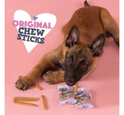 Smoofl Sticks για Παγωτά Σκύλου 10τμχ 55gr 10 Smoofl Sticks για Παγωτά Σκύλου 10τμχ 55gr -Gatoskilo Petshop Store smoofl sticks gia pagota skilou 10tmx 55gr 2