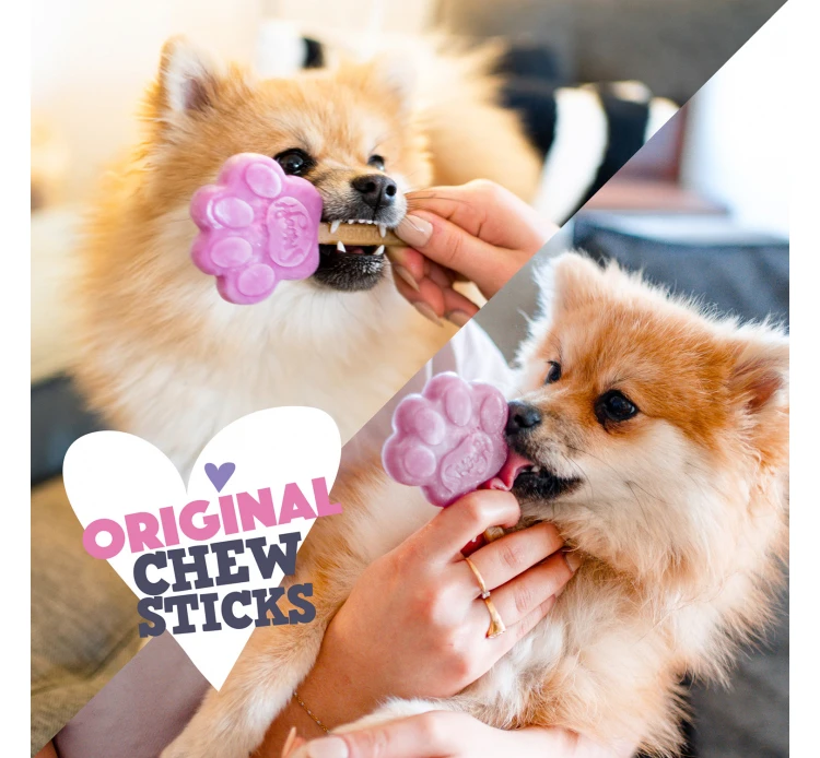 Smoofl Sticks για Παγωτά Σκύλου 10τμχ 55gr 6 Smoofl Sticks για Παγωτά Σκύλου 10τμχ 55gr - Image 4