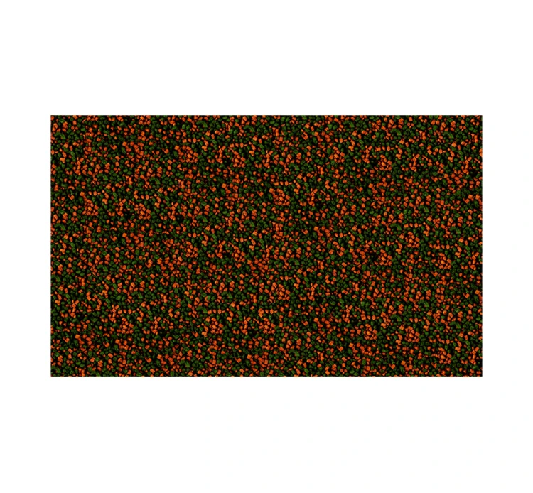 Tetra Micro Sticks Τροφή για Μικρά Τροπικά Ψάρια σε Sticks 100ml 4 Tetra Micro Sticks Τροφή για Μικρά Τροπικά Ψάρια σε Sticks 100ml - Image 2