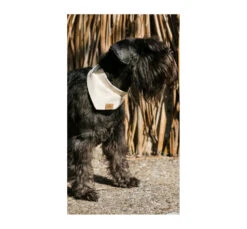 Unicord Μπαντάνα Σκύλου Μπεζ 12 Unicord Μπαντάνα Σκύλου Μπεζ -Gatoskilo Petshop Store unicord bantana skilou bez 2