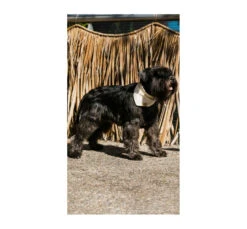 Unicord Μπαντάνα Σκύλου Μπεζ 13 Unicord Μπαντάνα Σκύλου Μπεζ -Gatoskilo Petshop Store unicord bantana skilou bez 3