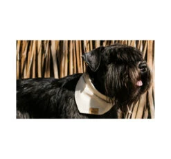 Unicord Μπαντάνα Σκύλου Μπεζ 15 Unicord Μπαντάνα Σκύλου Μπεζ -Gatoskilo Petshop Store unicord bantana skilou bez 5