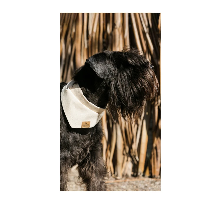 Unicord Μπαντάνα Σκύλου Μπεζ 9 Unicord Μπαντάνα Σκύλου Μπεζ - Image 7