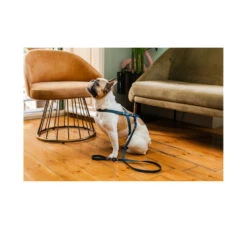 Unicord Color Blocking Σαμαράκι Σκύλου Αδιάβροχο Μπλε Navy Total 7 Unicord Color Blocking Σαμαράκι Σκύλου Αδιάβροχο Μπλε Navy Total -Gatoskilo Petshop Store unicord color blocking samaraki skilou adiavroxo ble navy total 2