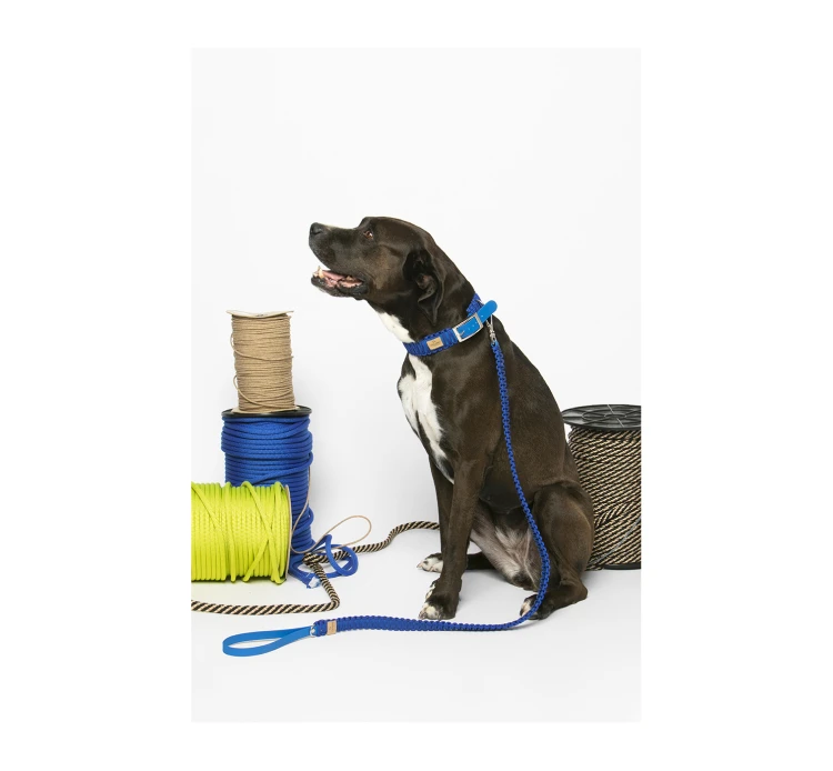 Unicord Χειροποίητο Κολάρο - Περιλαίμιο Σκύλου Skyscraper Μπλε Ηλεκτρίκ 6 Unicord Χειροποίητο Κολάρο - Περιλαίμιο Σκύλου Skyscraper Μπλε Ηλεκτρίκ - Image 4