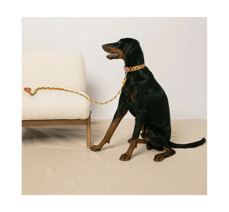 Unicord Χειροποίητος Οδηγός Braid Lime-Μανταρινί-Καφέ 25kg+ 4 Unicord Χειροποίητος Οδηγός Braid Lime-Μανταρινί-Καφέ 25kg+ - Image 2