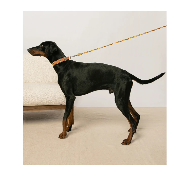 Unicord Χειροποίητος Οδηγός Braid Lime-Μανταρινί-Καφέ 25kg+ 5 Unicord Χειροποίητος Οδηγός Braid Lime-Μανταρινί-Καφέ 25kg+ - Image 3