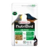 VERSELE-LAGA Versele Laga Nutribird Orlux Uni Patee 1kg 1 VERSELE-LAGA Versele Laga Nutribird Orlux Uni Patee 1kg -Gatoskilo Petshop Store versele laga nutribird orlux uni patee 1kg