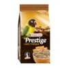 VERSELE-LAGA Versele Laga Prestige Premium Loro Parque African Parakeet Mix 1kg -Gatoskilo Petshop Store versele laga prestige premium loro parque african parakeet mix 1kg