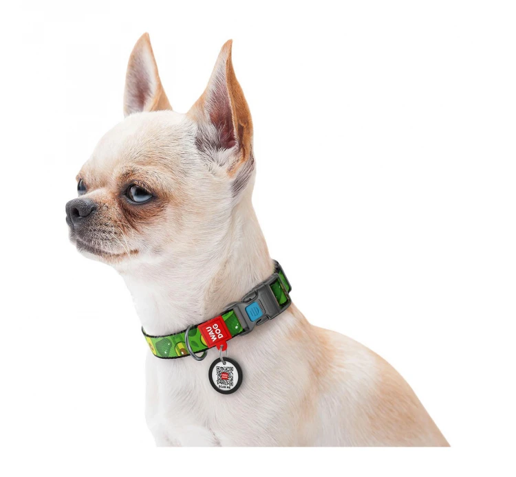 Wau Dog Κολάρο - Περιλαίμιο Avocado με Smart ID & Πλαστικό Κούμπωμα 5 Wau Dog Κολάρο - Περιλαίμιο Avocado με Smart ID & Πλαστικό Κούμπωμα - Image 3