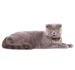 Wau Dog Κολάρο - Περιλαίμιο Avocado με Smart ID & Πλαστικό Κούμπωμα 15 Wau Dog Κολάρο - Περιλαίμιο Avocado με Smart ID & Πλαστικό Κούμπωμα -Gatoskilo Petshop Store wau dog kolaro perilemio avocado me smart id plastiko koumpoma 6