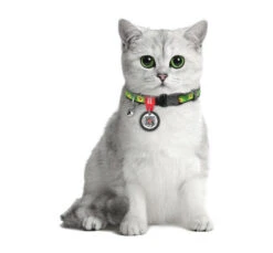 Wau Dog Κολάρο -Περιλαίμιο Γάτας Avocado 20-30cm με Smart ID 9 Wau Dog Κολάρο -Περιλαίμιο Γάτας Avocado 20-30cm με Smart ID -Gatoskilo Petshop Store wau dog kolaro perilemio gatas avocado 20 30cm me smart id 3