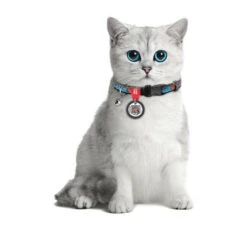 Wau Dog Κολάρο - Περιλαίμιο Γάτας Summer 20-30cm με Smart ID 9 Wau Dog Κολάρο - Περιλαίμιο Γάτας Summer 20-30cm με Smart ID -Gatoskilo Petshop Store wau dog kolaro perilemio gatas summer 20 30cm me smart id 3