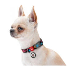 Wau Dog Κολάρο - Περιλαίμιο Graffiti με Smart ID & Πλαστικό Κούμπωμα 11 Wau Dog Κολάρο - Περιλαίμιο Graffiti με Smart ID & Πλαστικό Κούμπωμα -Gatoskilo Petshop Store wau dog kolaro perilemio graffiti me smart id plastiko koumpoma 2