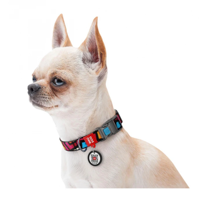 Wau Dog Κολάρο - Περιλαίμιο Graffiti με Smart ID & Πλαστικό Κούμπωμα 5 Wau Dog Κολάρο - Περιλαίμιο Graffiti με Smart ID & Πλαστικό Κούμπωμα - Image 3