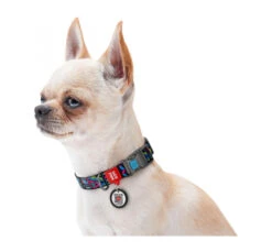 Wau Dog Κολάρο - Περιλαίμιο Indie με Smart ID & Πλαστικό Κούμπωμα 11 Wau Dog Κολάρο - Περιλαίμιο Indie με Smart ID & Πλαστικό Κούμπωμα -Gatoskilo Petshop Store wau dog kolaro perilemio indie me smart id plastiko koumpoma 2