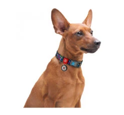 Wau Dog Κολάρο - Περιλαίμιο Indie με Smart ID & Πλαστικό Κούμπωμα 12 Wau Dog Κολάρο - Περιλαίμιο Indie με Smart ID & Πλαστικό Κούμπωμα -Gatoskilo Petshop Store wau dog kolaro perilemio indie me smart id plastiko koumpoma 3