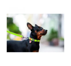 Wau Dog Κολάρο - Περιλαίμιο Σκύλου Αδιάβροχο με Smart ID & Μεταλλικό Κούμπωμα -Gatoskilo Petshop Store wau dog kolaro perilemio skilou adiavroxo me smart id metalliko koumpoma 12