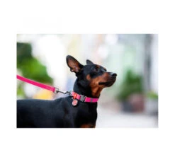 Wau Dog Κολάρο - Περιλαίμιο Σκύλου Αδιάβροχο με Smart ID & Μεταλλικό Κούμπωμα -Gatoskilo Petshop Store wau dog kolaro perilemio skilou adiavroxo me smart id metalliko koumpoma 13