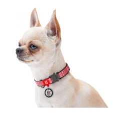 Wau Dog Κολάρο - Περιλαίμιο Σκύλου Etno Red με Smart ID & Μεταλλικό Κούμπωμα 10 Wau Dog Κολάρο - Περιλαίμιο Σκύλου Etno Red με Smart ID & Μεταλλικό Κούμπωμα -Gatoskilo Petshop Store wau dog kolaro perilemio skilou etno red me smart id metalliko koumpoma 3