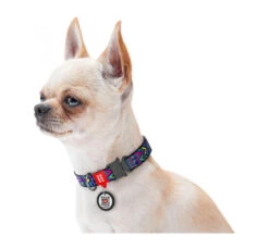 Wau Dog Κολάρο - Περιλαίμιο Σκύλου Indie με Smart ID & Μεταλλικό Κούμπωμα 8 Wau Dog Κολάρο - Περιλαίμιο Σκύλου Indie με Smart ID & Μεταλλικό Κούμπωμα -Gatoskilo Petshop Store wau dog kolaro perilemio skilou indie me smart id metalliko koumpoma 2