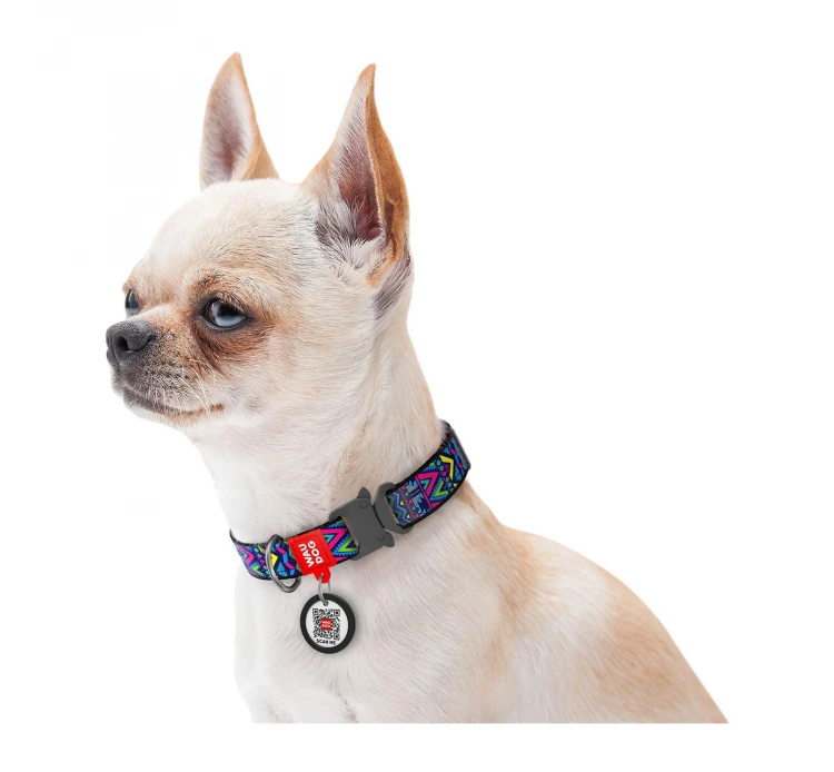 Wau Dog Κολάρο - Περιλαίμιο Σκύλου Indie με Smart ID & Μεταλλικό Κούμπωμα 5 Wau Dog Κολάρο - Περιλαίμιο Σκύλου Indie με Smart ID & Μεταλλικό Κούμπωμα - Image 3