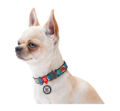 Wau Dog Κολάρο - Περιλαίμιο Σκύλου WOW με Smart ID & Μεταλλικό Κούμπωμα 11 Wau Dog Κολάρο - Περιλαίμιο Σκύλου WOW με Smart ID & Μεταλλικό Κούμπωμα -Gatoskilo Petshop Store wau dog kolaro perilemio skilou wow me smart id metalliko koumpoma 3