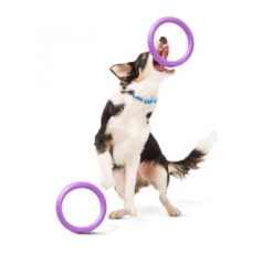 Wau Dog Παιχνίδι Puller Fitness Tool 16 Wau Dog Παιχνίδι Puller Fitness Tool -Gatoskilo Petshop Store wau dog pexnidi puller fitness tool 5