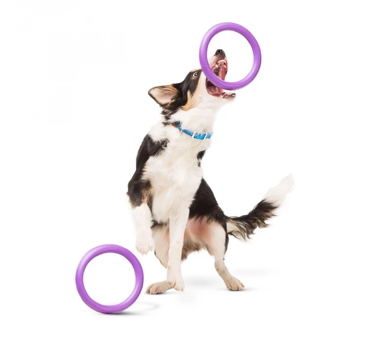 Wau Dog Παιχνίδι Puller Fitness Tool 8 Wau Dog Παιχνίδι Puller Fitness Tool - Image 6