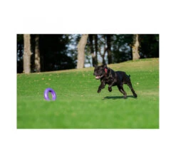 Wau Dog Παιχνίδι Puller Fitness Tool 17 Wau Dog Παιχνίδι Puller Fitness Tool -Gatoskilo Petshop Store wau dog pexnidi puller fitness tool 6