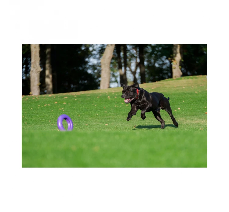 Wau Dog Παιχνίδι Puller Fitness Tool 9 Wau Dog Παιχνίδι Puller Fitness Tool - Image 7