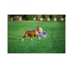 Wau Dog Παιχνίδι Puller Fitness Tool 18 Wau Dog Παιχνίδι Puller Fitness Tool -Gatoskilo Petshop Store wau dog pexnidi puller fitness tool 7