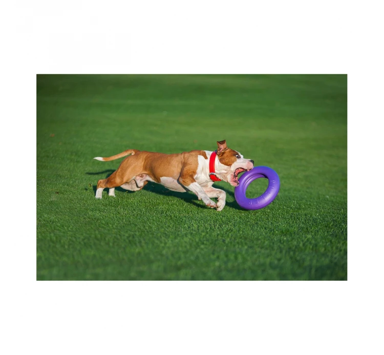 Wau Dog Παιχνίδι Puller Fitness Tool 11 Wau Dog Παιχνίδι Puller Fitness Tool - Image 9