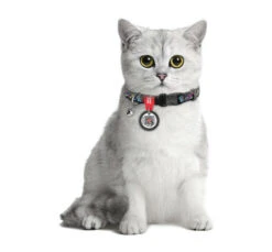 Wau Dog Κολάρο -Περιλαίμιο Γάτας Indie 20-30cm με Smart ID 7 Wau Dog Κολάρο -Περιλαίμιο Γάτας Indie 20-30cm με Smart ID -Gatoskilo Petshop Store wau dog κολάρο περιλαίμιο γάτας indie 20 30cm με smart id 2