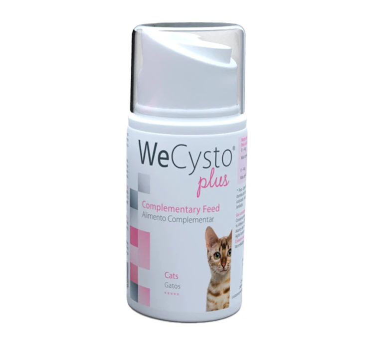 WeCysto Plus Dogs & Cats 50ml Υποστήριξη Ουροποιητικού 3 WeCysto Plus Dogs & Cats 50ml Υποστήριξη Ουροποιητικού