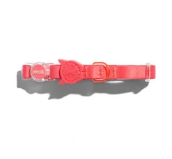 ZeeCat Κολάρο - Περιλαίμιο Γάτας Neopro 20-30cm 15 ZeeCat Κολάρο - Περιλαίμιο Γάτας Neopro 20-30cm -Gatoskilo Petshop Store zeecat kolaro perilemio gatas neopro 20 30cm 1