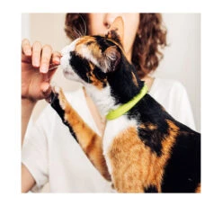 ZeeCat Κολάρο - Περιλαίμιο Γάτας Neopro 20-30cm 25 ZeeCat Κολάρο - Περιλαίμιο Γάτας Neopro 20-30cm -Gatoskilo Petshop Store zeecat kolaro perilemio gatas neopro 20 30cm 11