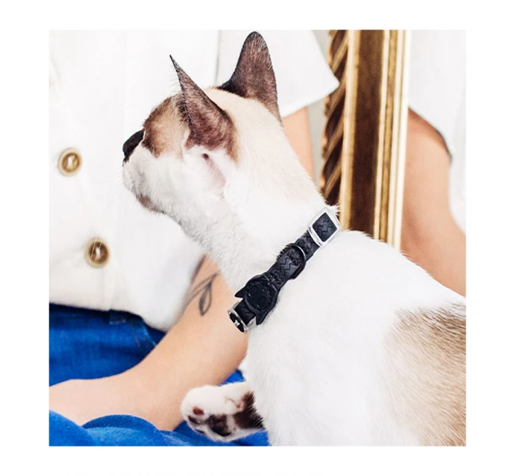ZeeCat Κολάρο - Περιλαίμιο Γάτας Neopro 20-30cm 10 ZeeCat Κολάρο - Περιλαίμιο Γάτας Neopro 20-30cm - Image 8