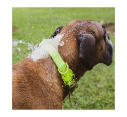 ZeeDog Κολάρο - Περιλαίμιο Σκύλου Αδιάβροχο Neopro 23 ZeeDog Κολάρο - Περιλαίμιο Σκύλου Αδιάβροχο Neopro -Gatoskilo Petshop Store zeedog kolaro perilemio skilou adiavroxo neopro 10