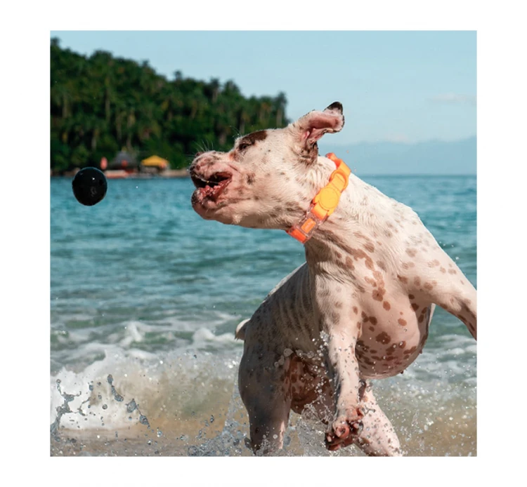 ZeeDog Κολάρο - Περιλαίμιο Σκύλου Αδιάβροχο Neopro 10 ZeeDog Κολάρο - Περιλαίμιο Σκύλου Αδιάβροχο Neopro - Image 8