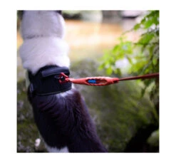ZeeDog Οδηγός Σκύλου Air Leash 150cm -Gatoskilo Petshop Store zeedog odigos skilou air leash 150cm 10