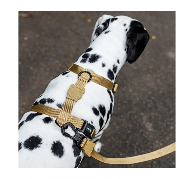 ZeeDog Οδηγός Σκύλου Sand 120cm 5 ZeeDog Οδηγός Σκύλου Sand 120cm - Image 3